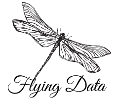 Flying Data